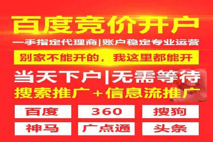 百度推广公司的成功案例：如何实现广告投资回报最大化